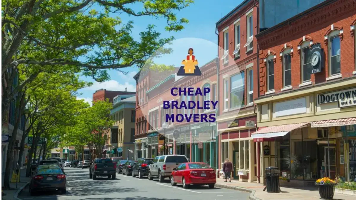 Best Bradley Movers Near Me Premium Moving Companies