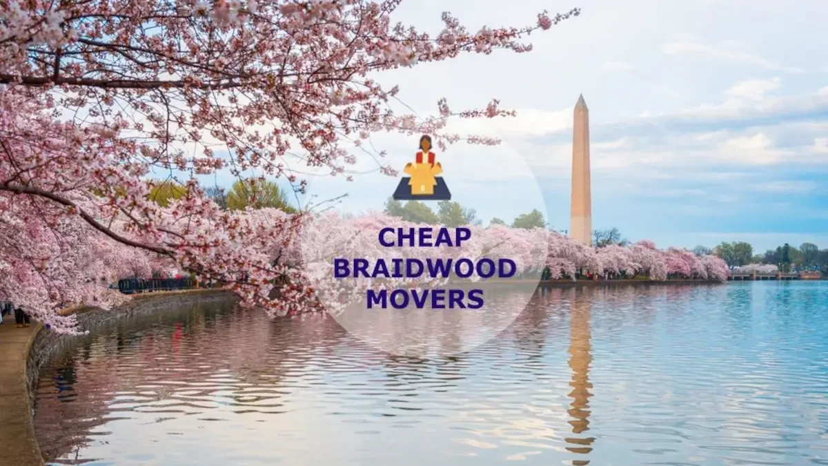 Best Braidwood Movers Near Me – Premium Braidwood, IL Moving Companies