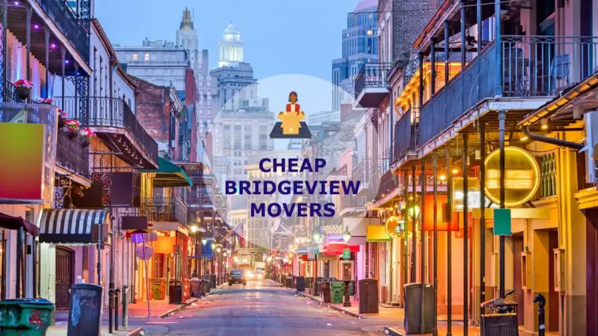 Best Bridgeview Movers Near Me – Premium Bridgeview, IL Moving Companies