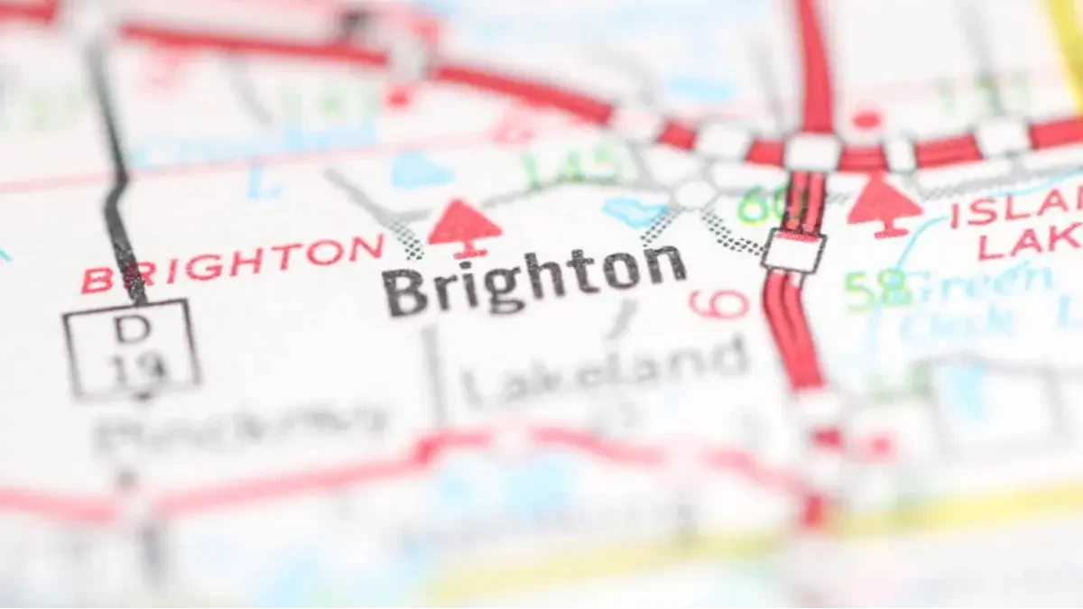 Best Brighton City Movers Near Me Premium Moving Companies