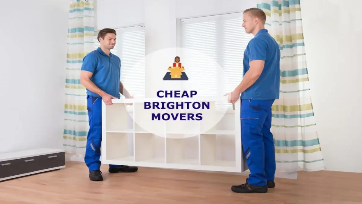 Best Brighton Movers Near Me – Premium Brighton, TN Moving Companies