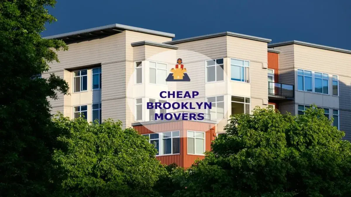Best Brooklyn Movers Near Me – Premium Brooklyn, CT Moving Companies
