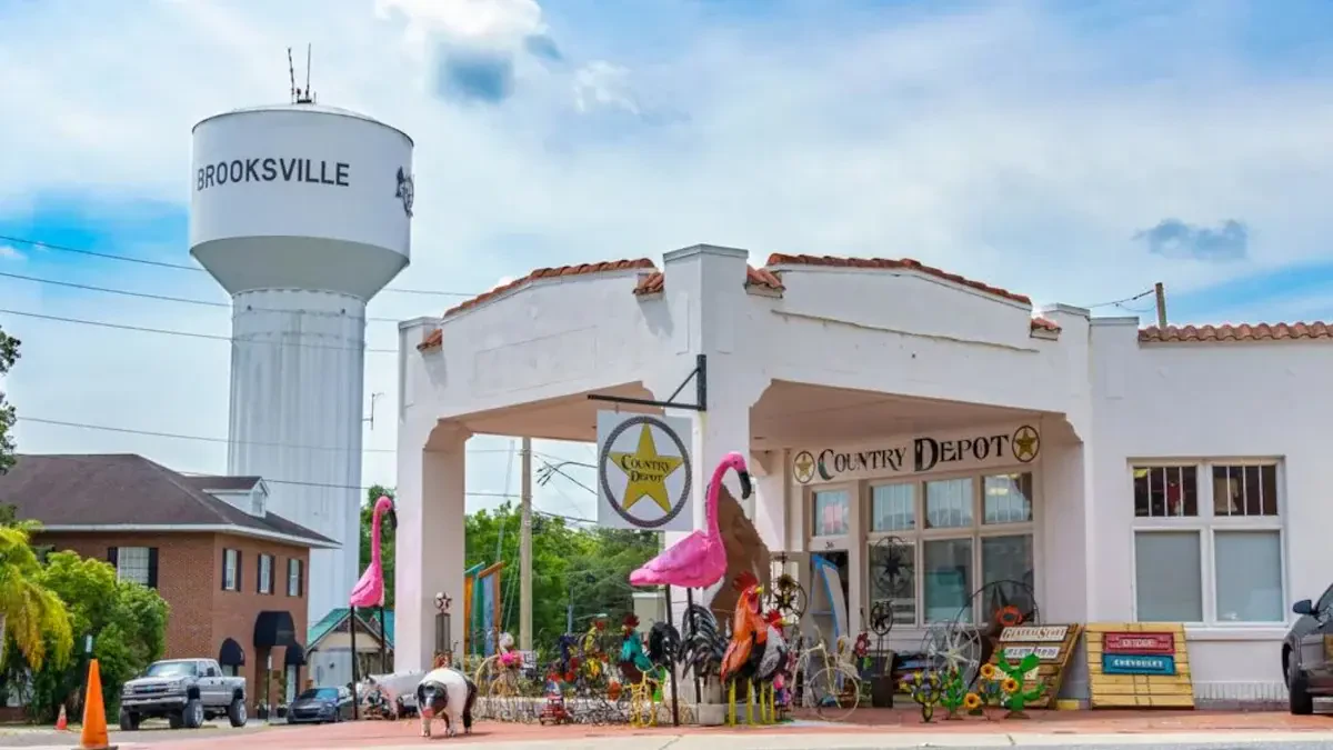 Best Brooksville Movers Near Me – Premium Brooksville, FL Moving Companies