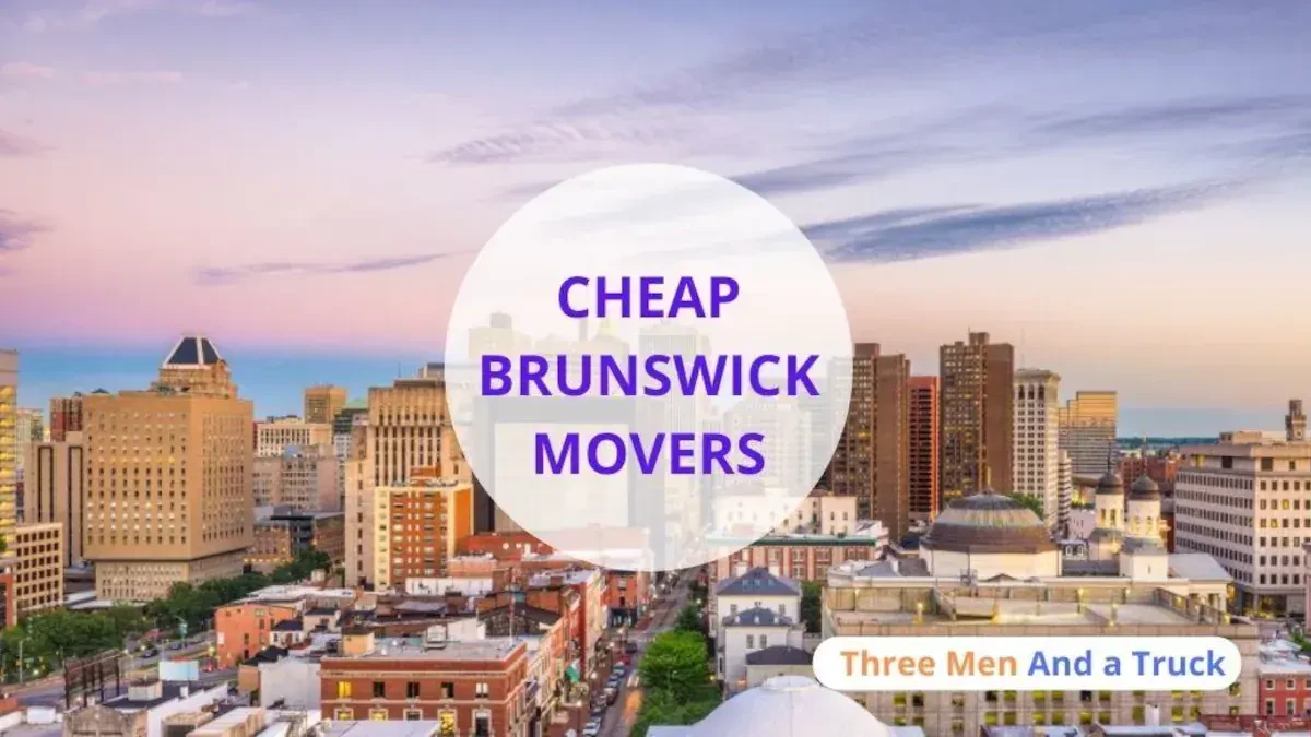 Best Brunswick Movers Near Me For Premium Moving Companies