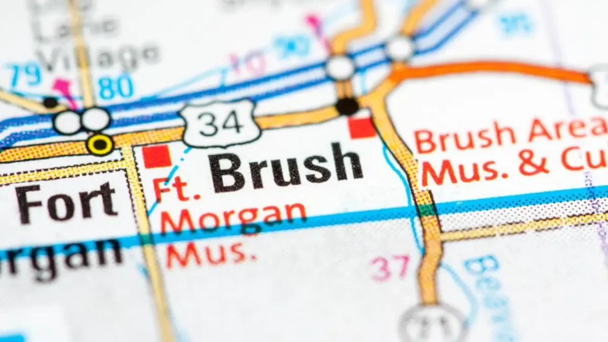 Best Brush Movers Near Me – Premium Brush, CO Moving Companies
