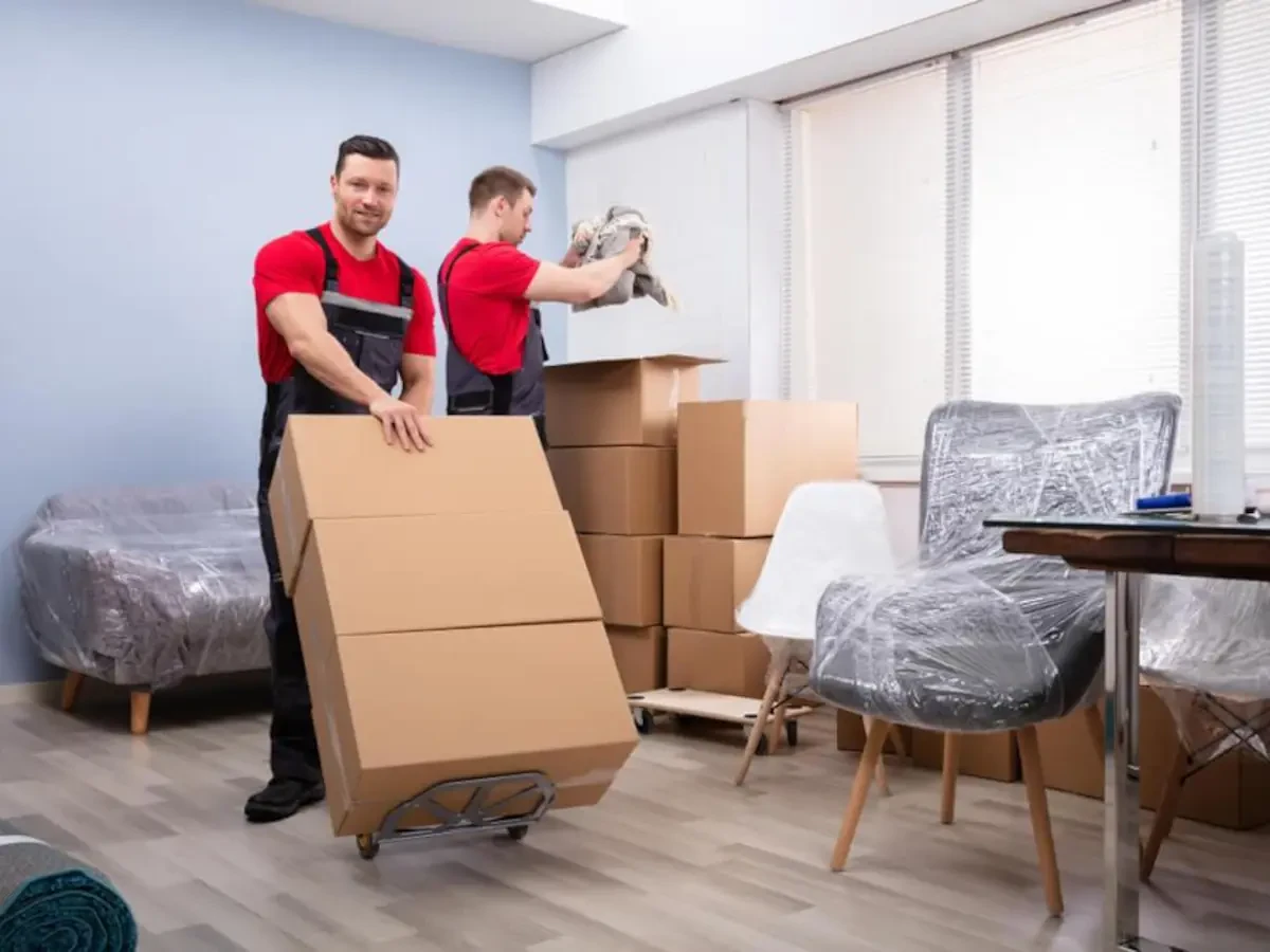 Best Brutus Movers Near Me – Premium Brutus, NY Moving Companies