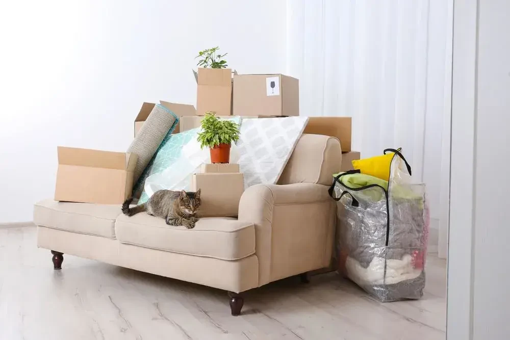 long distance movers in bryans road maryland