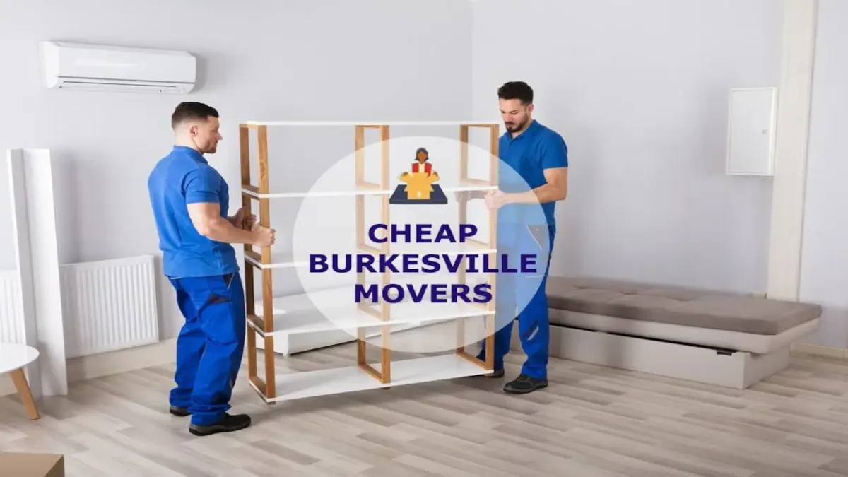 Best Burkesville Movers Near Me – Premium Burkesville, KY Moving Companies