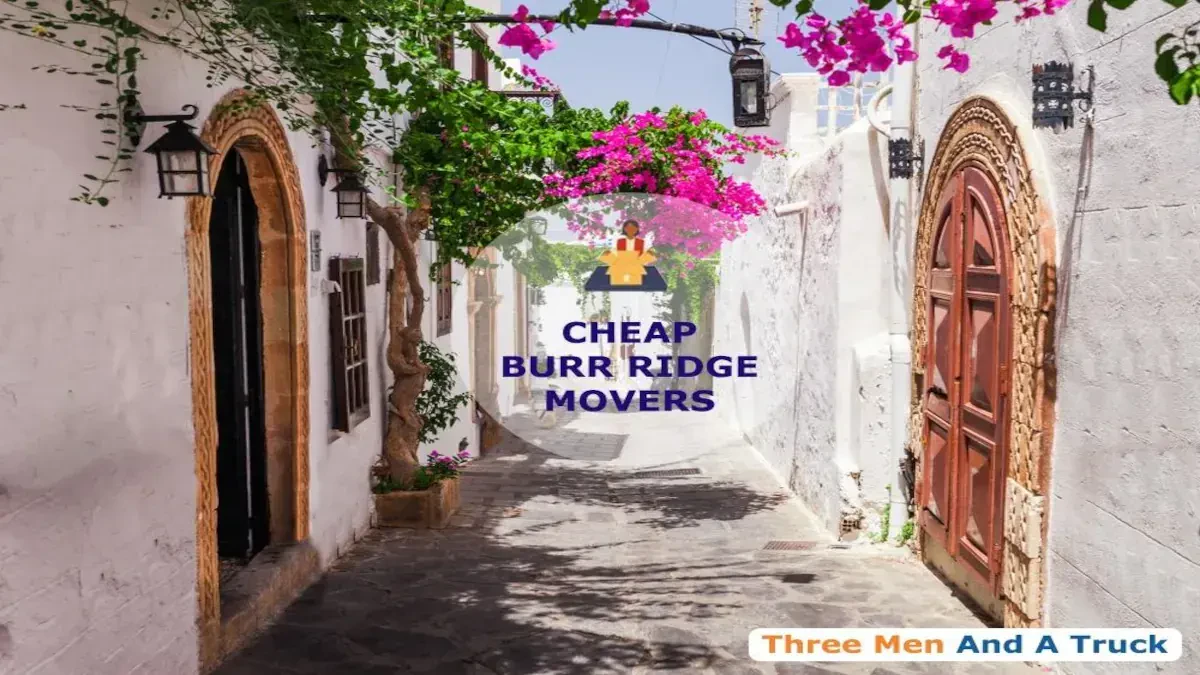 Best Burr Ridge Movers Near Me – Premium Burr Ridge, IL Moving Companies