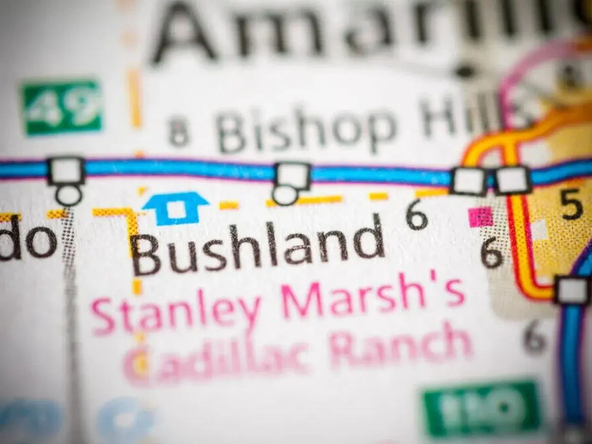 Best Bushland Movers Near Me – Premium Bushland, TX Moving Companies