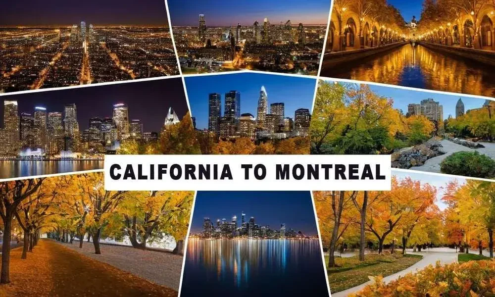 California To Montreal Shipping Services