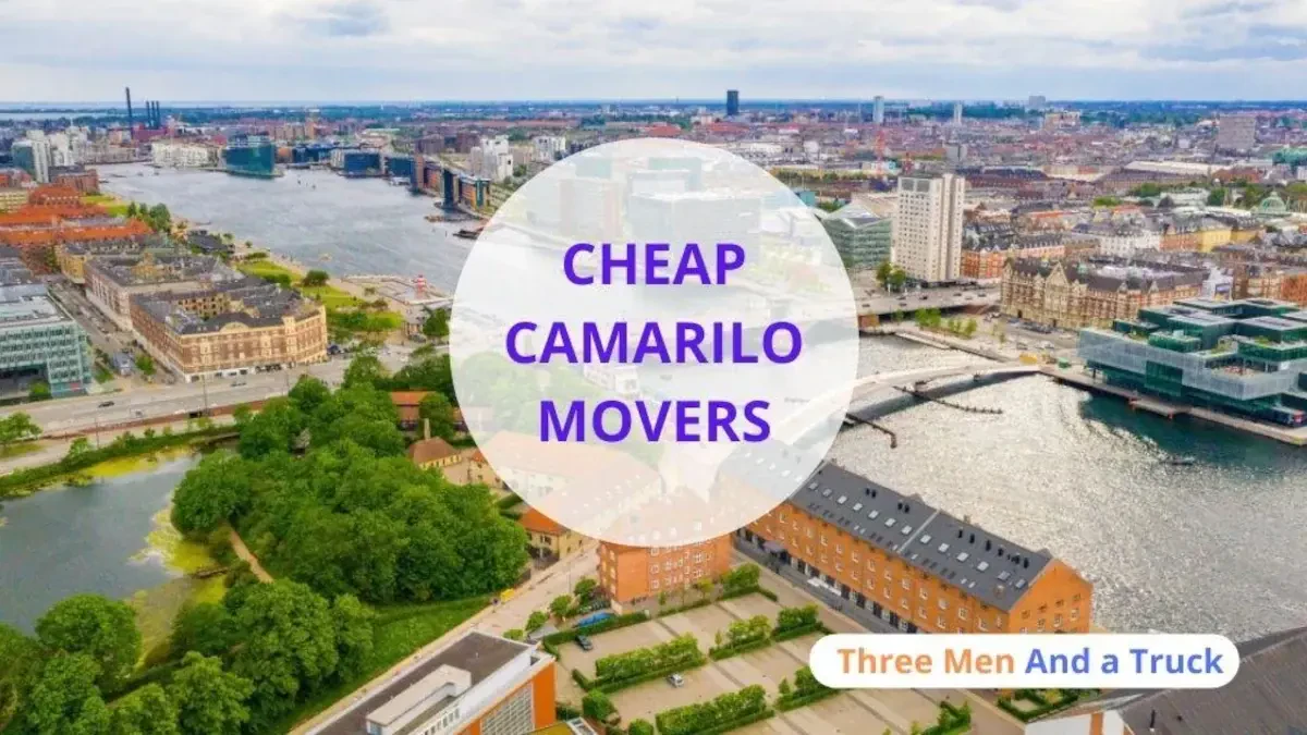 Best Camarillo Movers Near Me – Premium Moving Companies