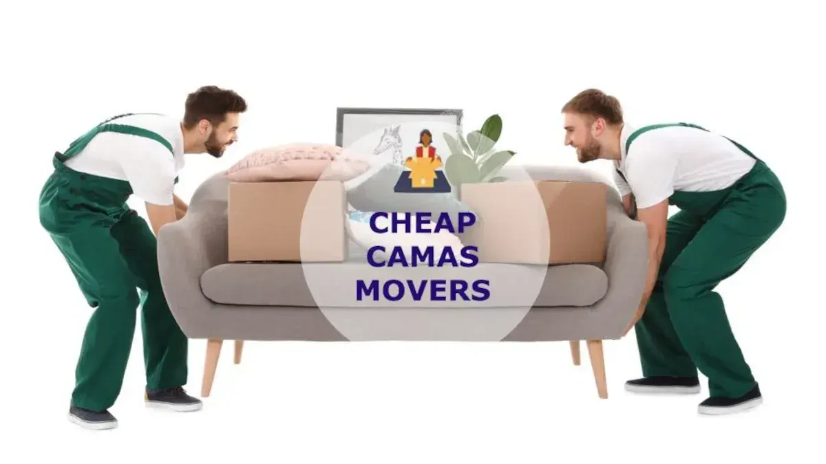 Best Camas Movers Near Me – Premium Camas, WA Moving Companies