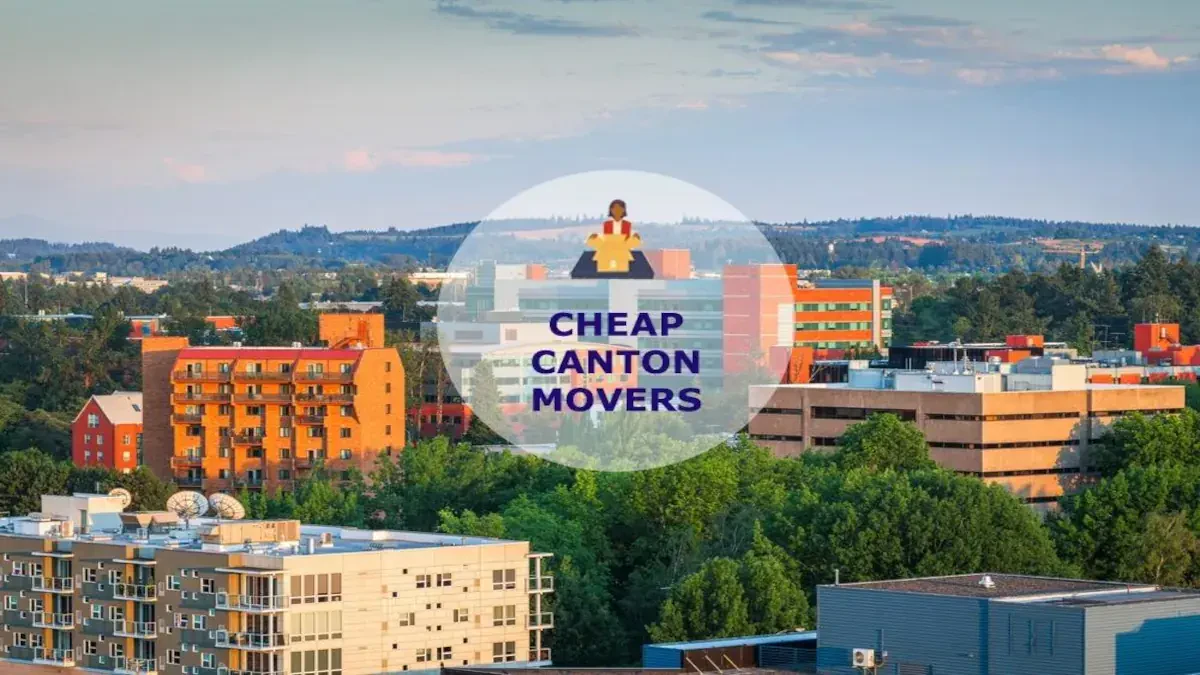 Best Canton Movers Near Me – Premium Canton, CT Moving Companies