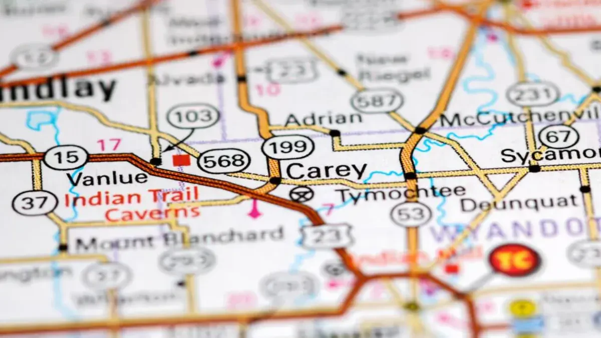Best Carey Movers Near Me – Premium Carey, OH Moving Companies