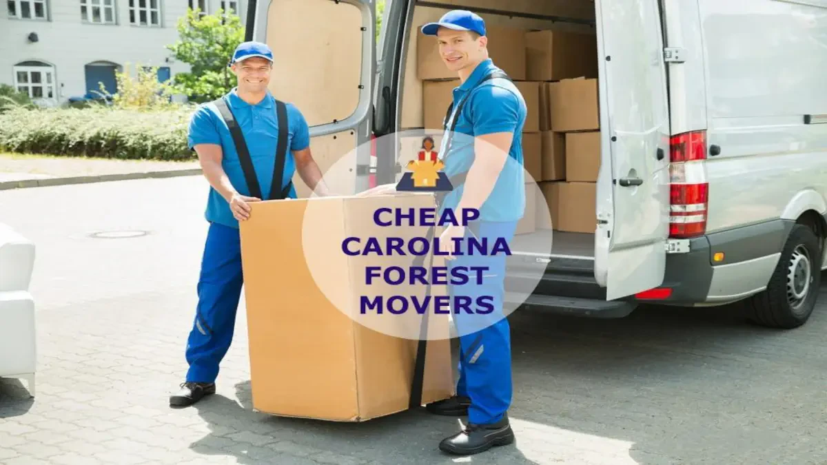 Best Carolina Forest Movers Near Me – Premium Carolina Forest, SC Moving Companies