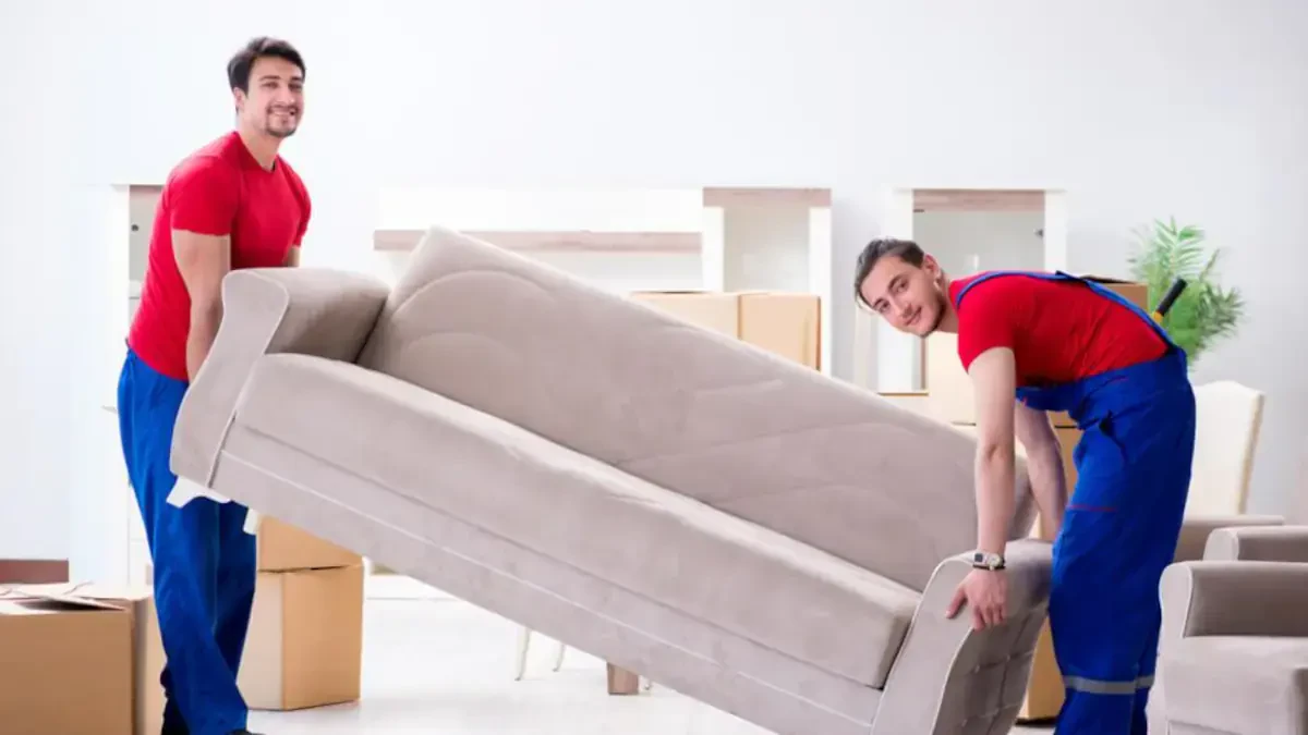 Best Catron County Movers Near Me – Premium Catron County, NM Moving Companies