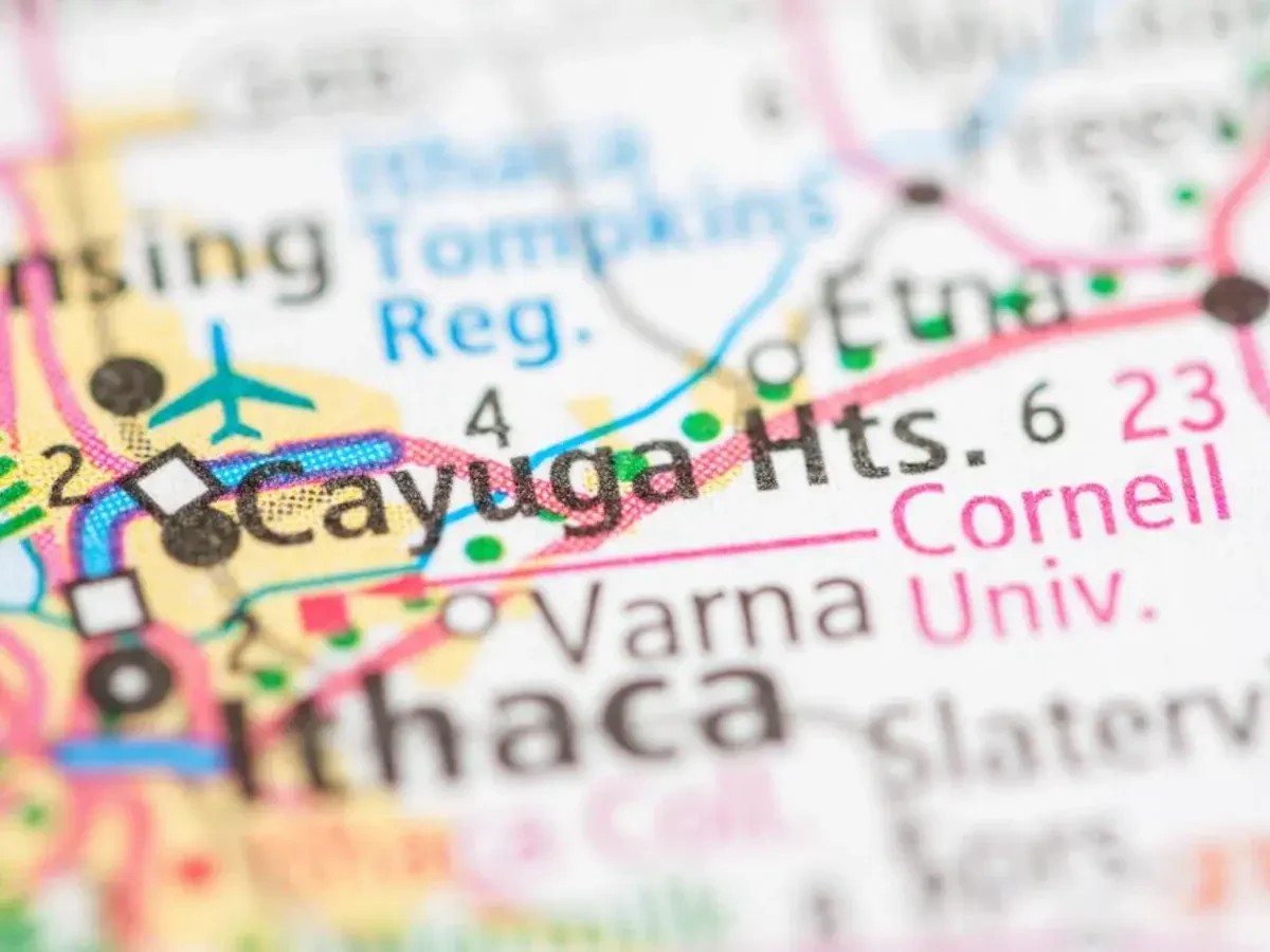 Best Cayuga Heights Movers Near Me – Premium Cayuga Heights, NY Moving Companies