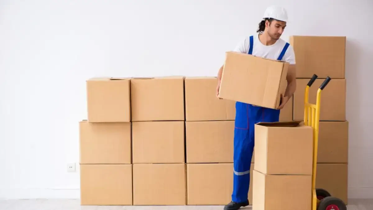 Best Cazenovia Village Movers Near Me – Premium Cazenovia Village, NY Moving Companies