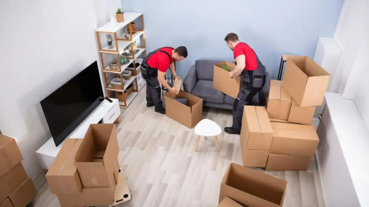 Best Cecil County Movers Near Me – Premium Cecil County, MD Moving Companies