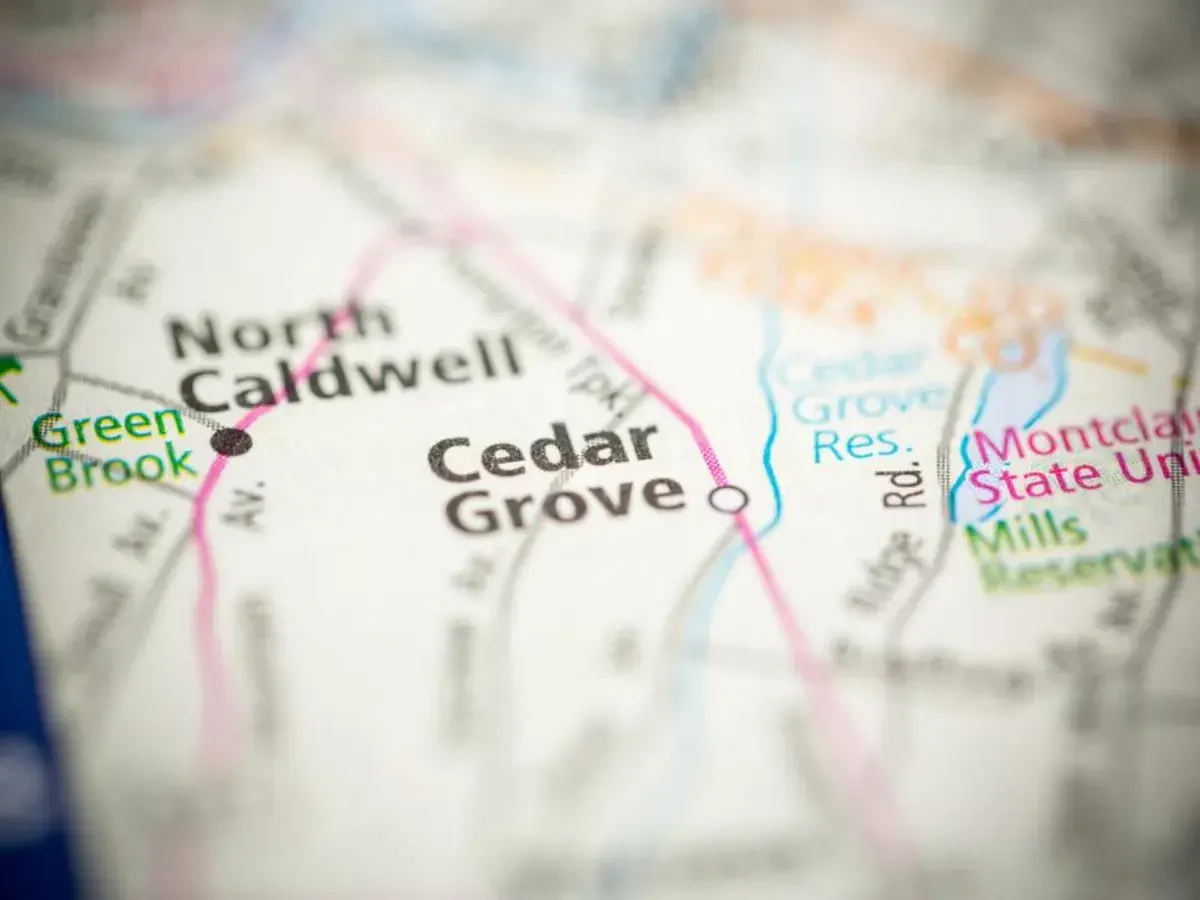 Best Cedar Grove Movers Near Me – Premium Cedar Grove, NJ Moving Companies