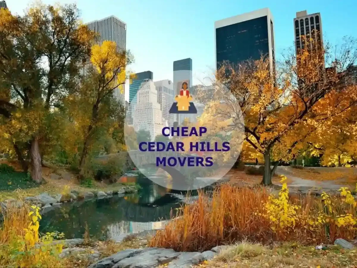 Best Cedar Hills Movers Near Me – Premium Cedar Hills, OR Moving Companies