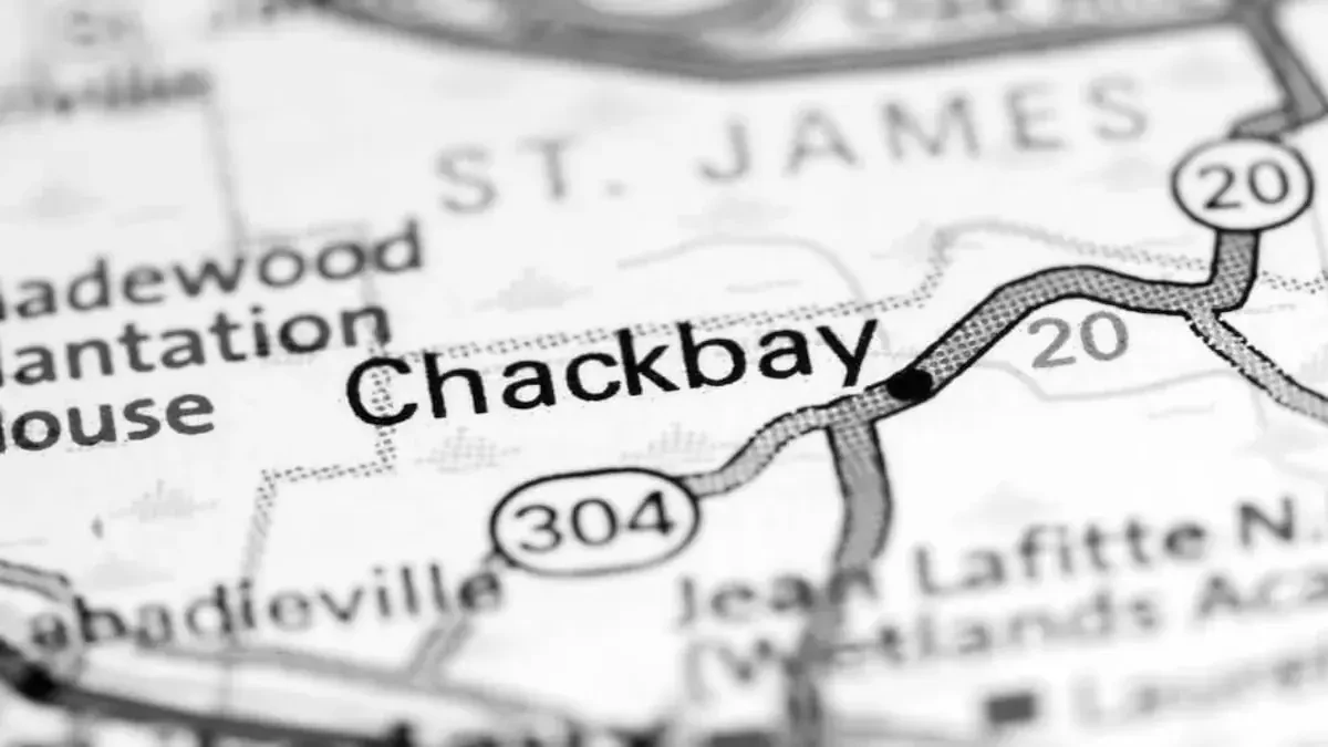 Best Chackbay Movers Near Me – Premium Chackbay, LA Moving Companies