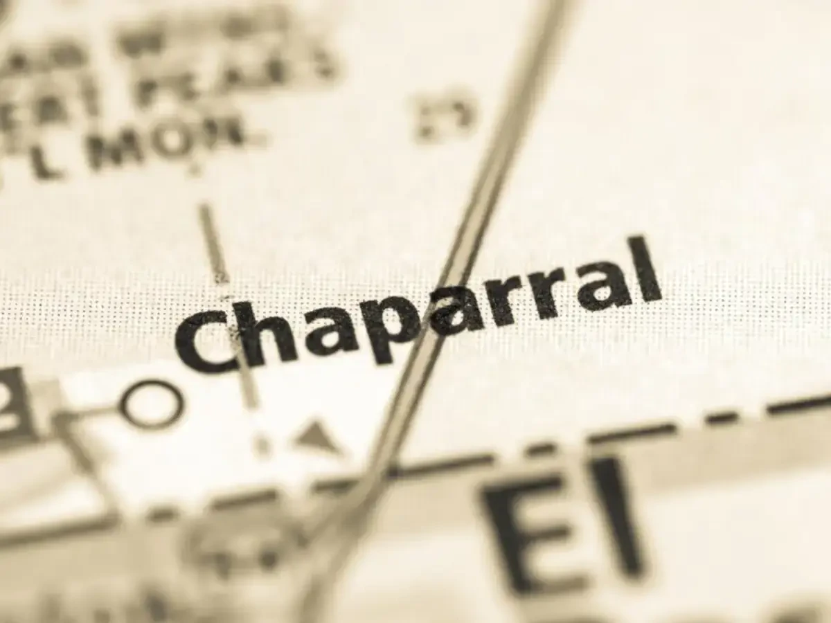 Best Chaparral Movers Near Me and Premium Moving Companies