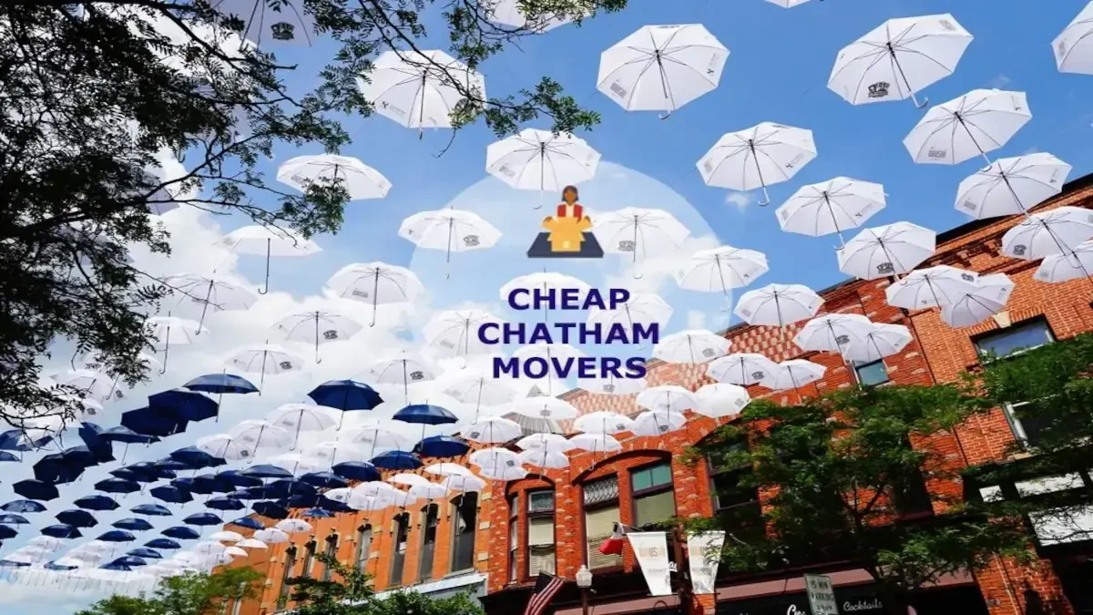 Best Chatham Movers Near Me – Premium Chatham, IL Moving Companies