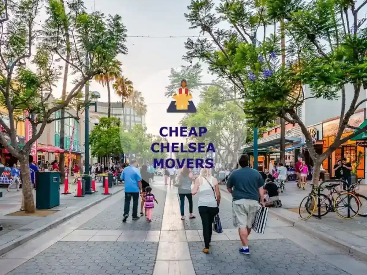 Best Chelsea Movers Near Me Premium Moving Companies