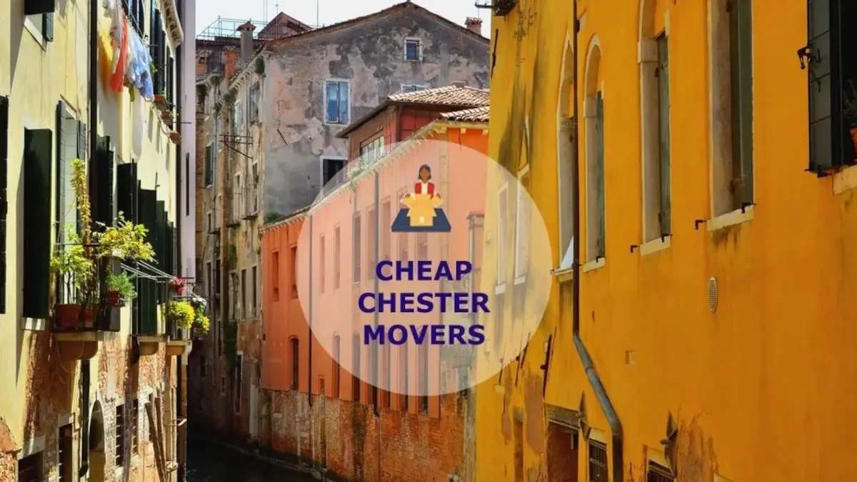 Best Chester Movers Near Me – Premium Chester, IL Moving Companies