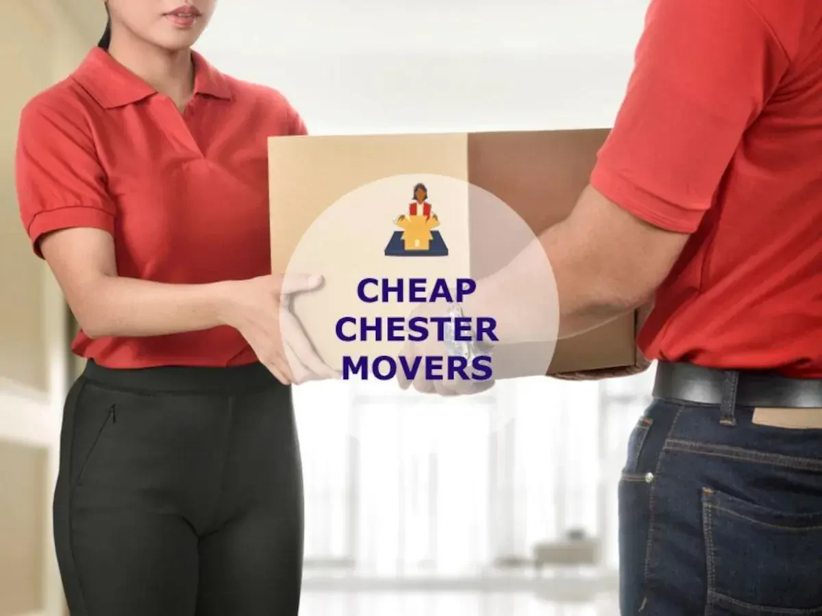 Best Chester Movers Near Me – Premium Chester, MD Moving Companies