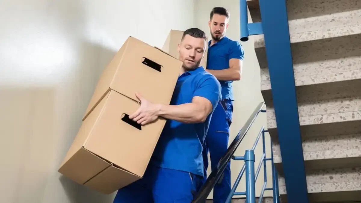 Best Chesterfield County Movers Near Me – Premium Chesterfield County, VA Moving Companies