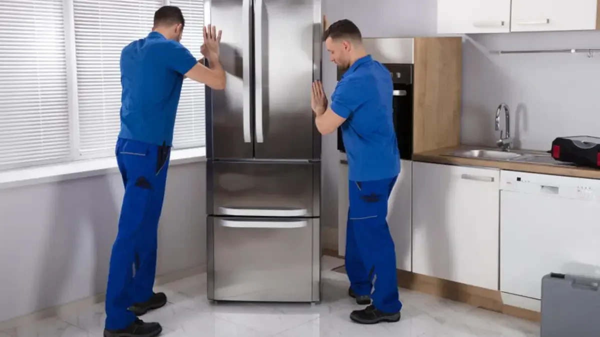 Best Chestnut Hill Movers Near Me – Premium Chestnut Hill, PA Moving Companies