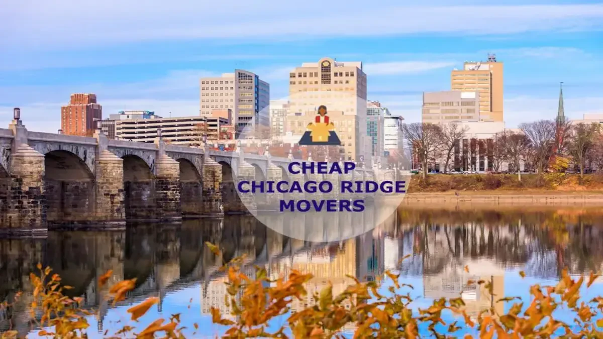 Best Chicago Ridge Movers Near Me – Premium Chicago Ridge, IL Moving Companies