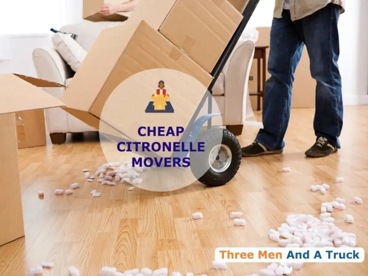 Best Citronelle Movers Near Me – Premium Citronelle, AL Moving Companies