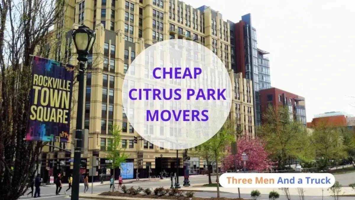 Best Citrus Park Movers Near Me Premium Moving Companies