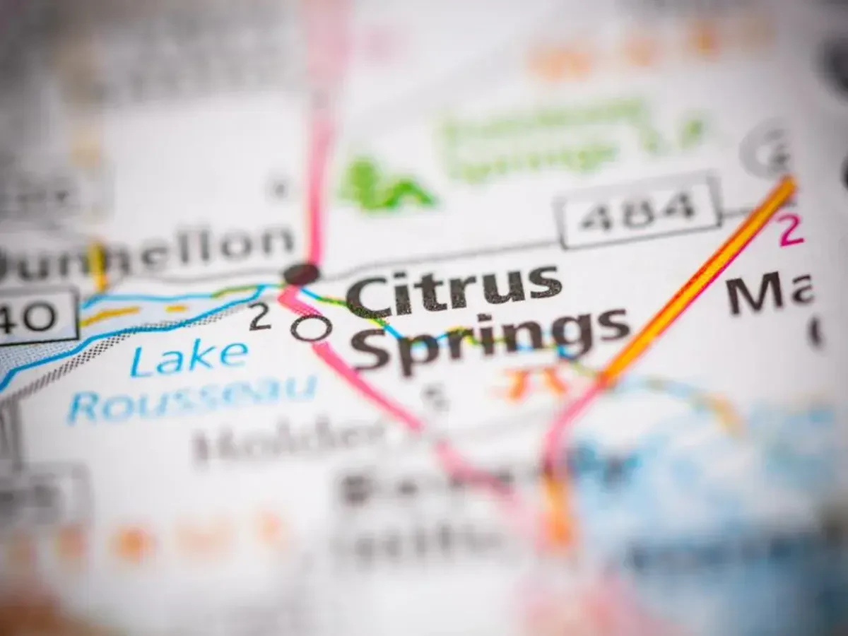 Best Citrus Springs Movers Near Me – Premium Citrus Springs, FL Moving Companies