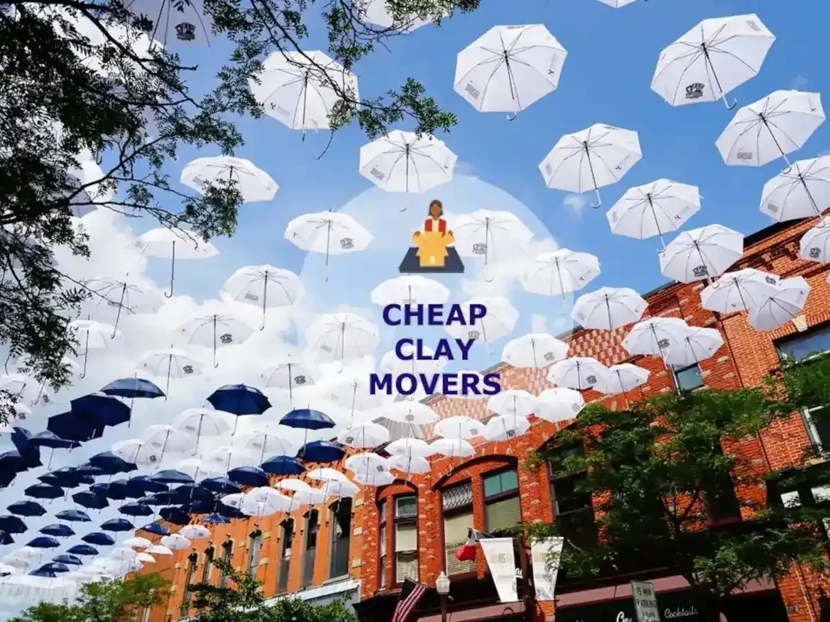 Best Clay Movers Near Me – Premium Clay, AL Moving Companies