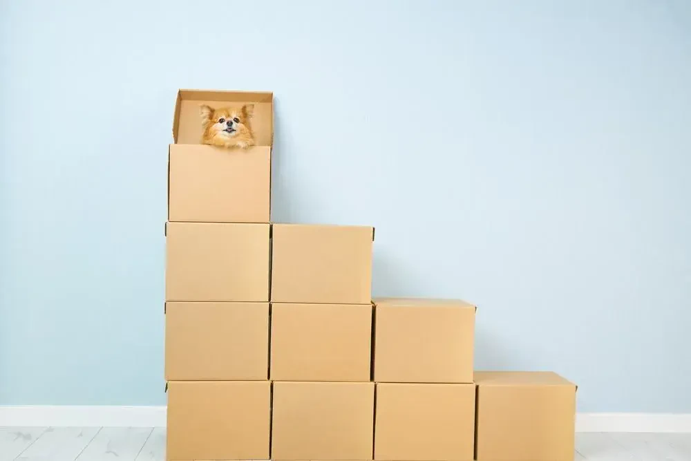 shipping services in cloverleaf texas