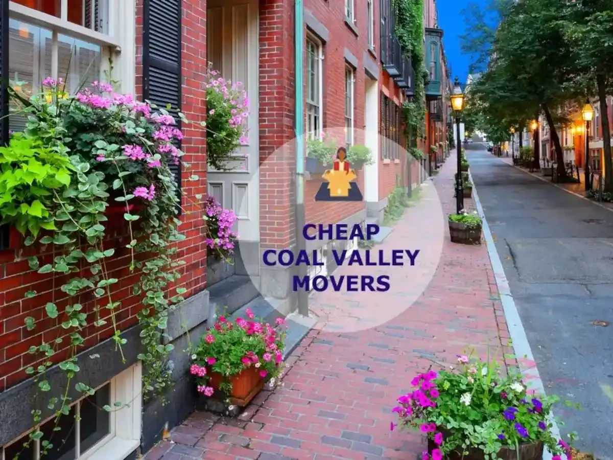 Best Coal Valley Movers Near Me – Premium Coal Valley, IL Moving Companies