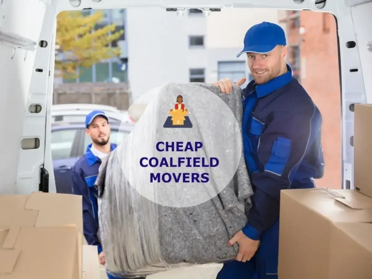 Best Coalfield Movers Near Me – Premium Coalfield, TN Moving Companies