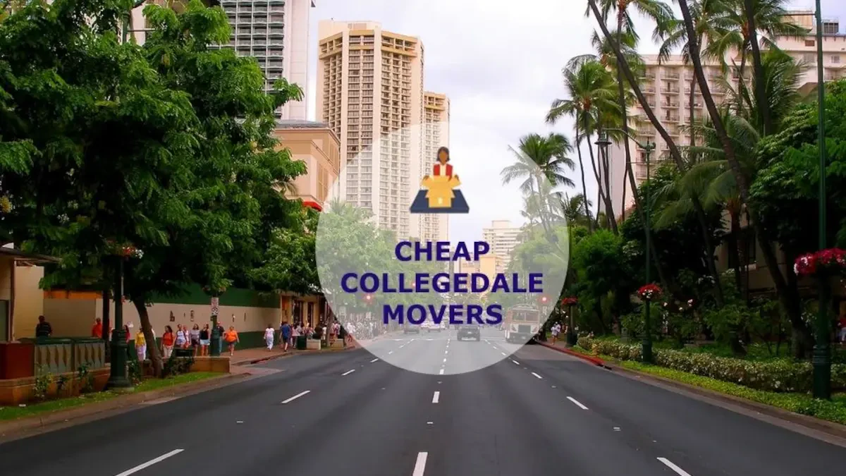 Best Collegedale Movers Near Me – Premium Collegedale, TN Moving Companies