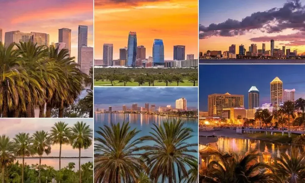 National Moving Companies Colorado To Florida