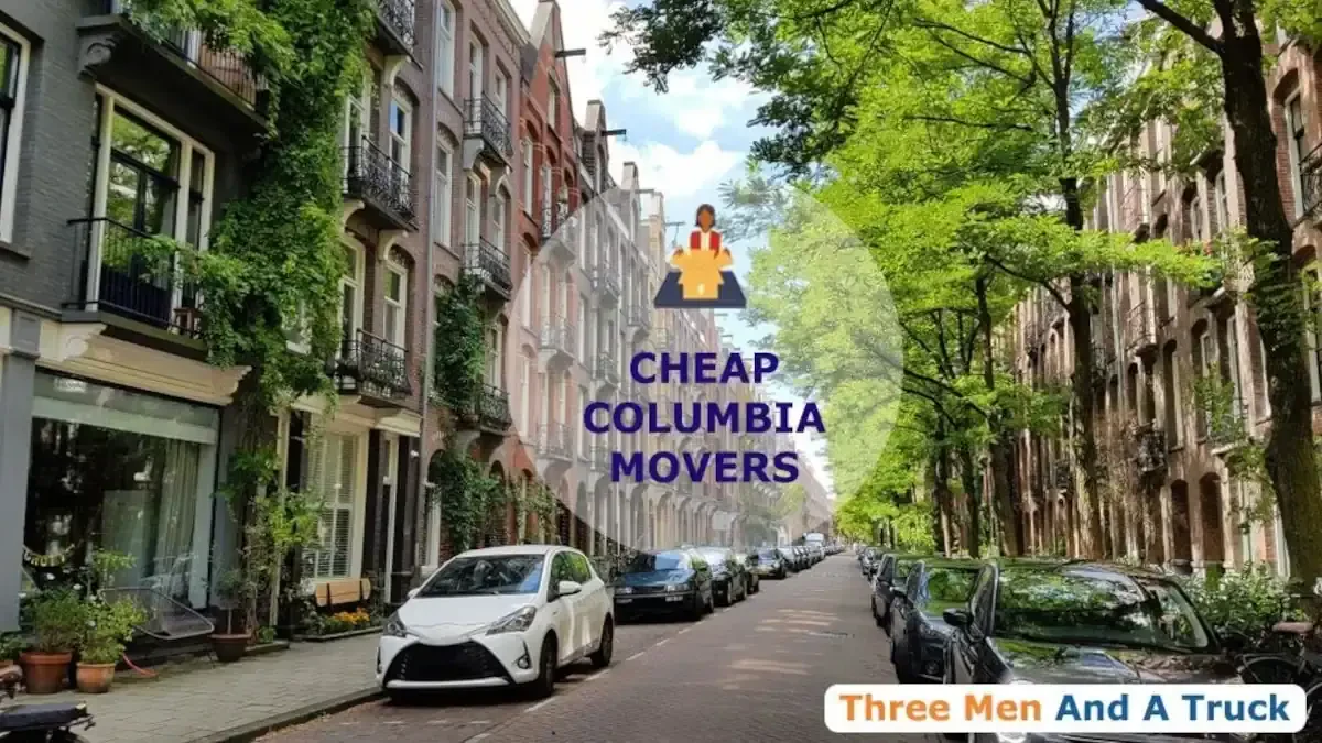 Best Columbia Movers Near Me – Premium Columbia, IL Moving Companies