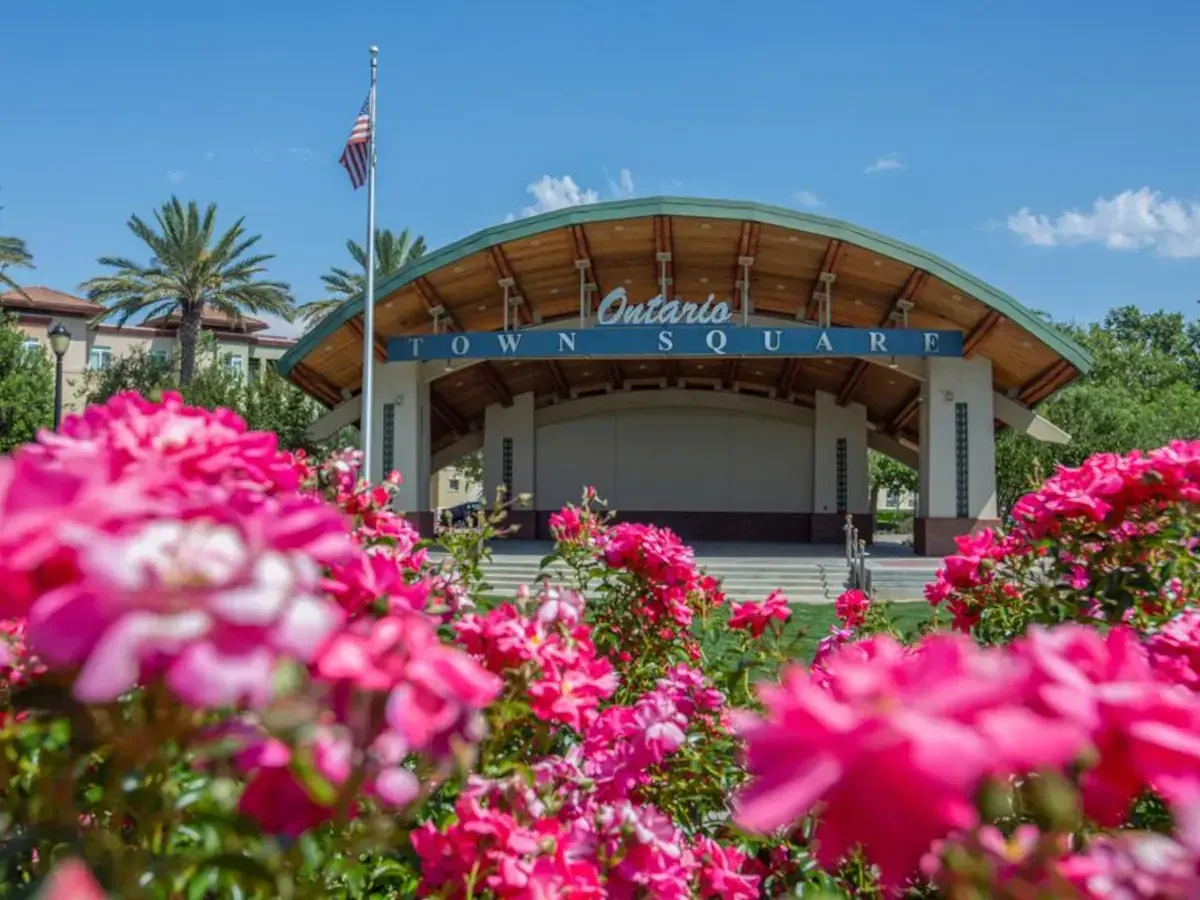 Ontario Commercial Movers Near Me