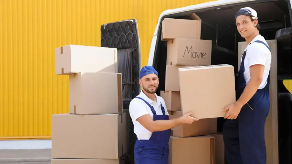 Best Converse County Movers Near Me Premium Moving Companies