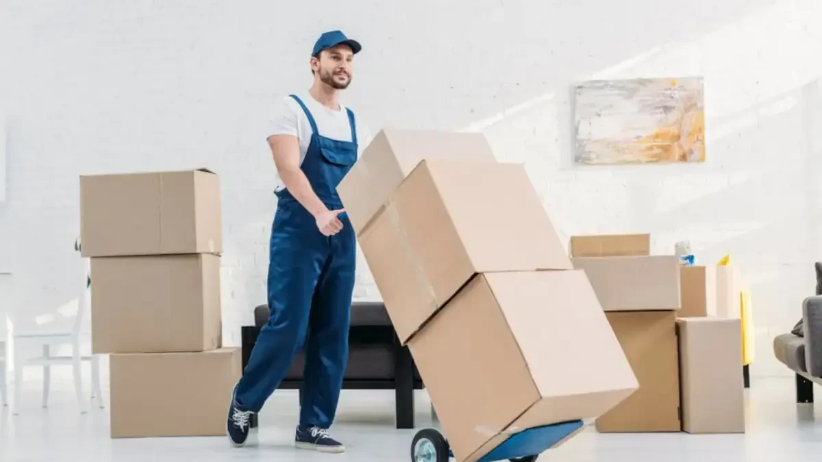 Best Copake Movers Near Me – Premium Copake, NY Moving Companies