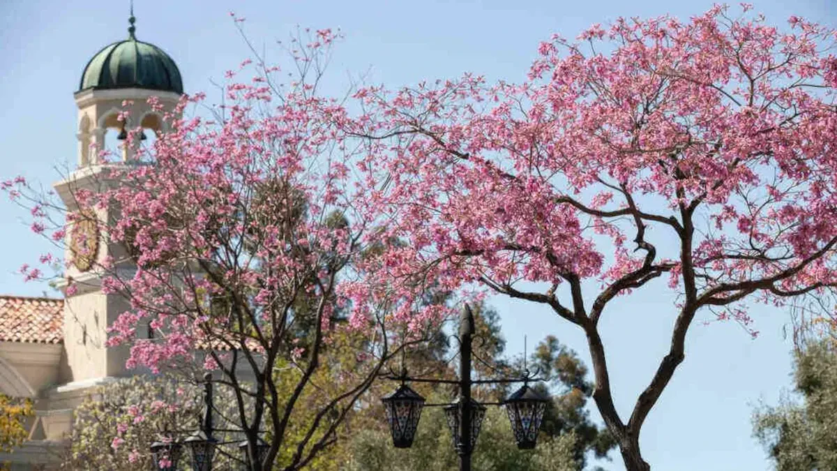 How Much Do Movers Cost In Thousand Oaks?