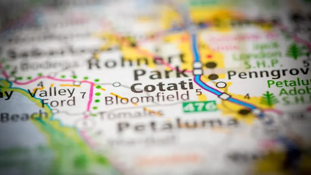 Best Cotati Movers Near Me Premium Moving Companies